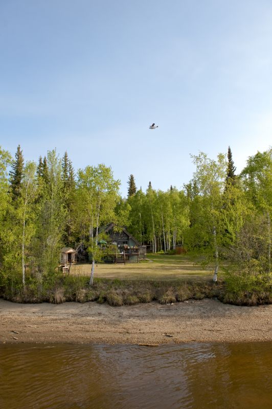 Lakefront Property Clearing in Cumming, GA