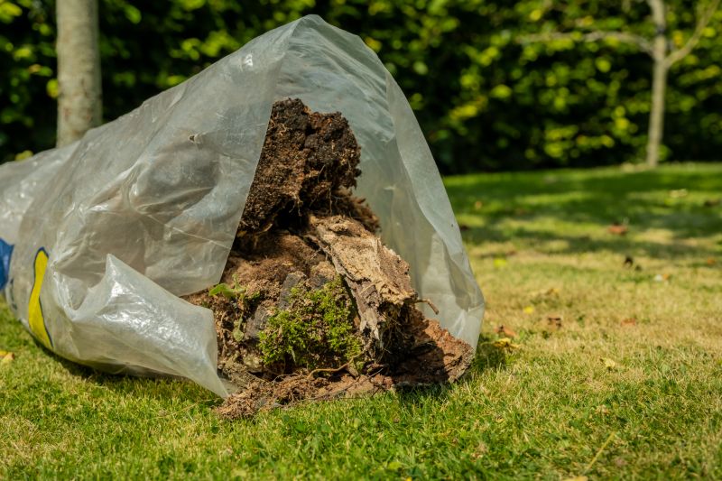 Root Removal