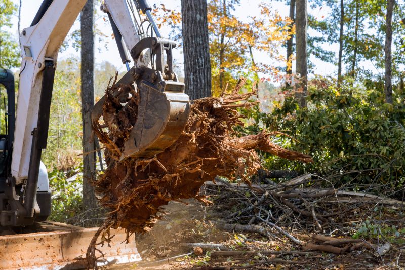 Cost of Root Removal — Cost of Root Removal