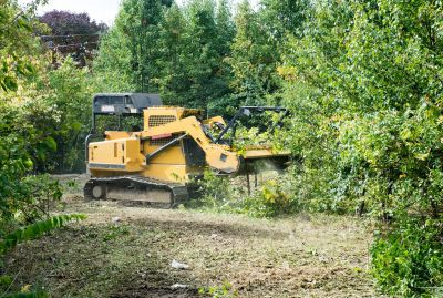 Farm Clearing in Cumming, GA