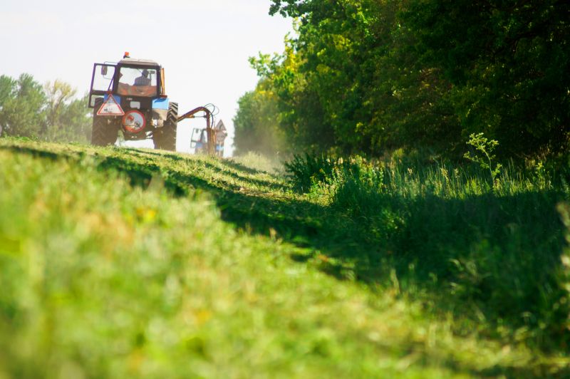 Site Clearing Service in Katy, TX